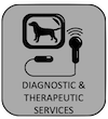 Icon representing diagnostic and therapeutic services offered at this vets